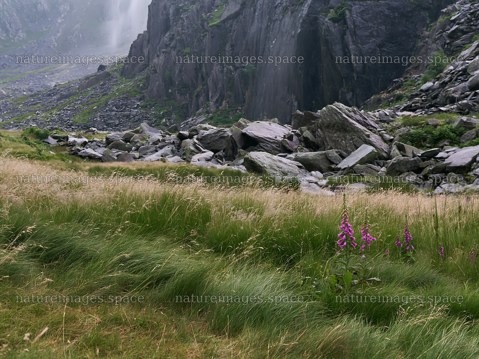 Meadow beneath crags with wildflowers and rocky landscape – nature images 9174x6866