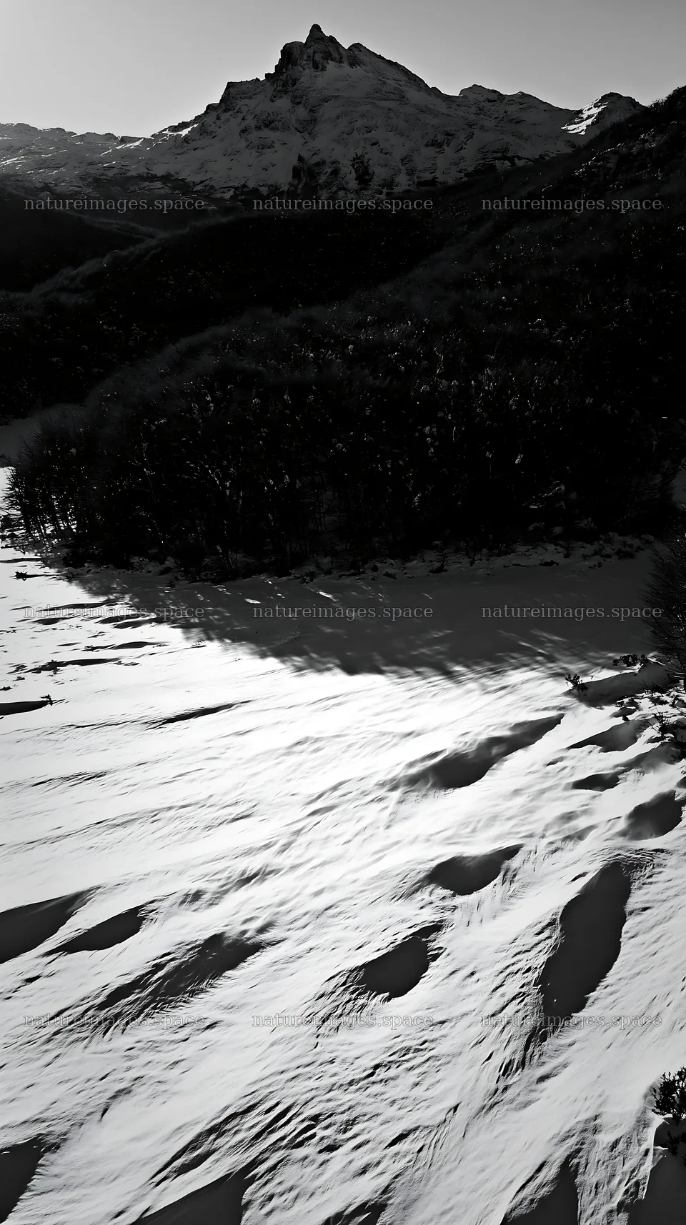 Aerial view of snowy meadow valley with trees and mountains – nature images 5938x10608