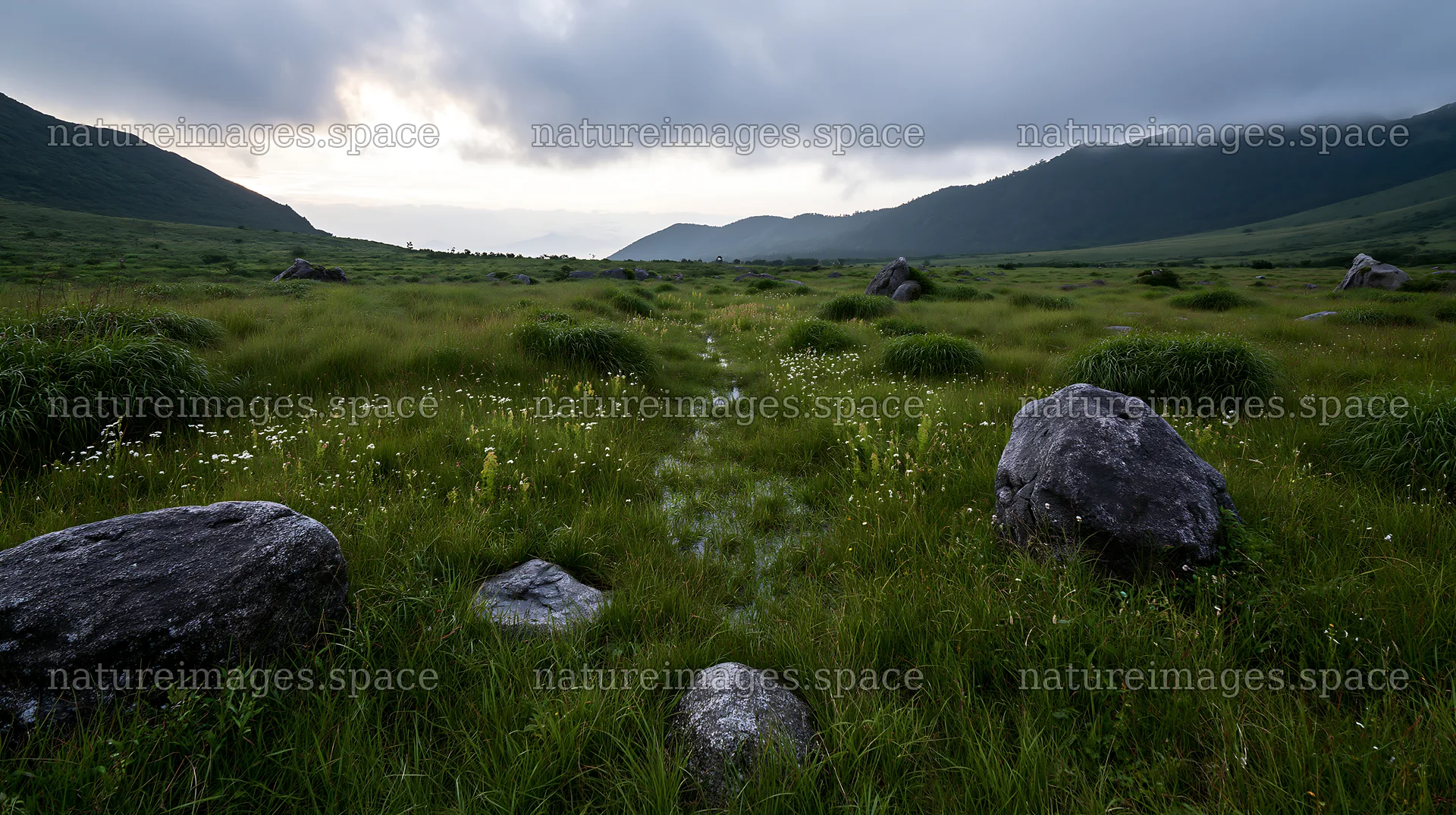 Oita highland meadow with granite stones in the landscape – nature images 10608x5938