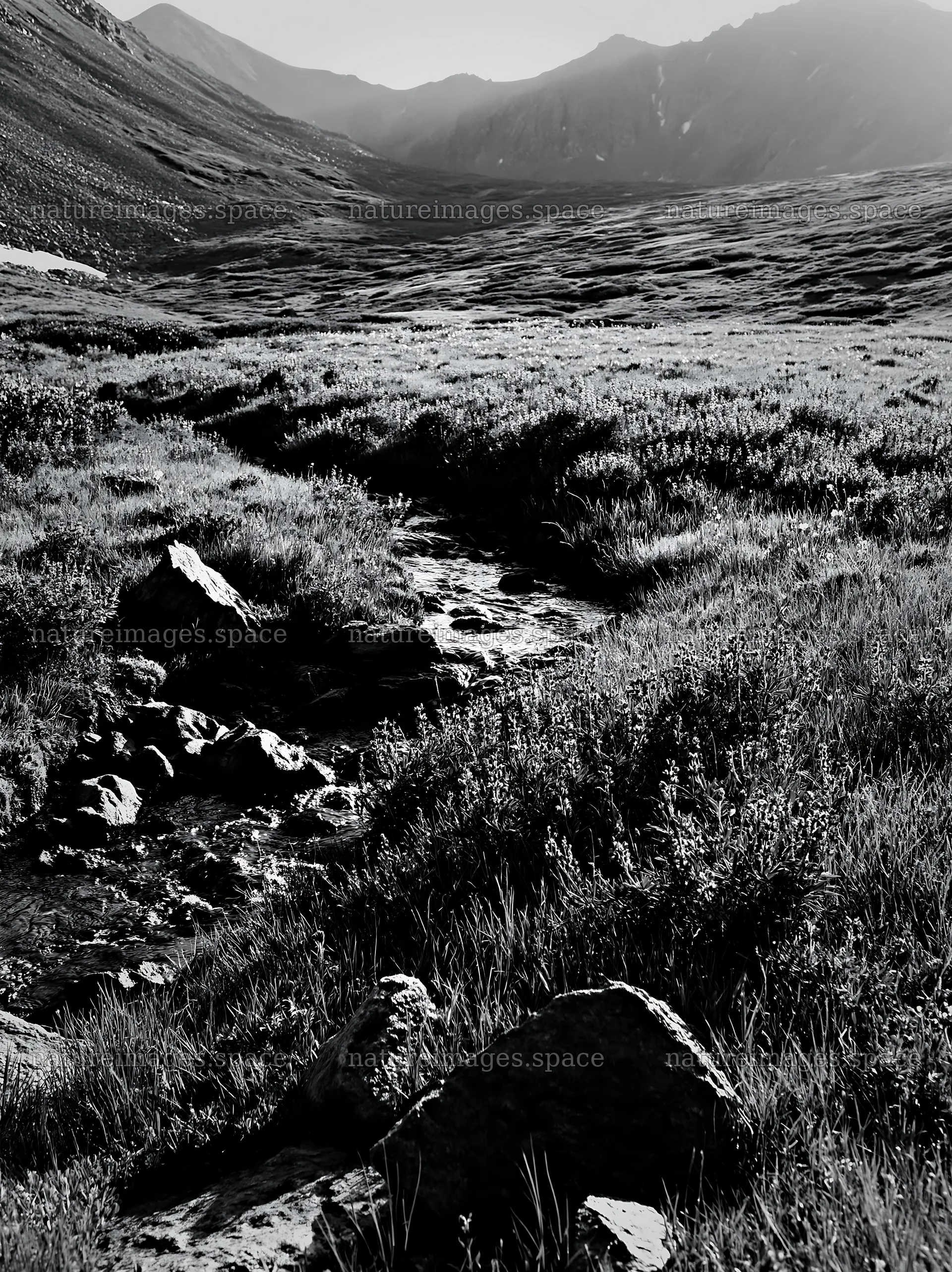 High contrast brook meadow with stream and rocky terrain – nature images 6866x9174