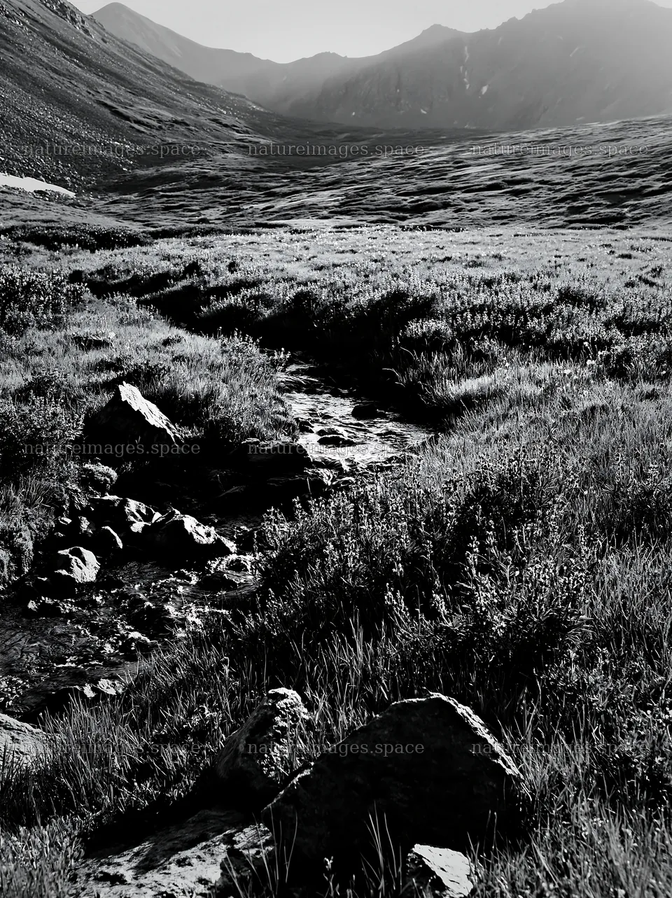 High contrast brook meadow with stream and rocky terrain – nature images 6866x9174