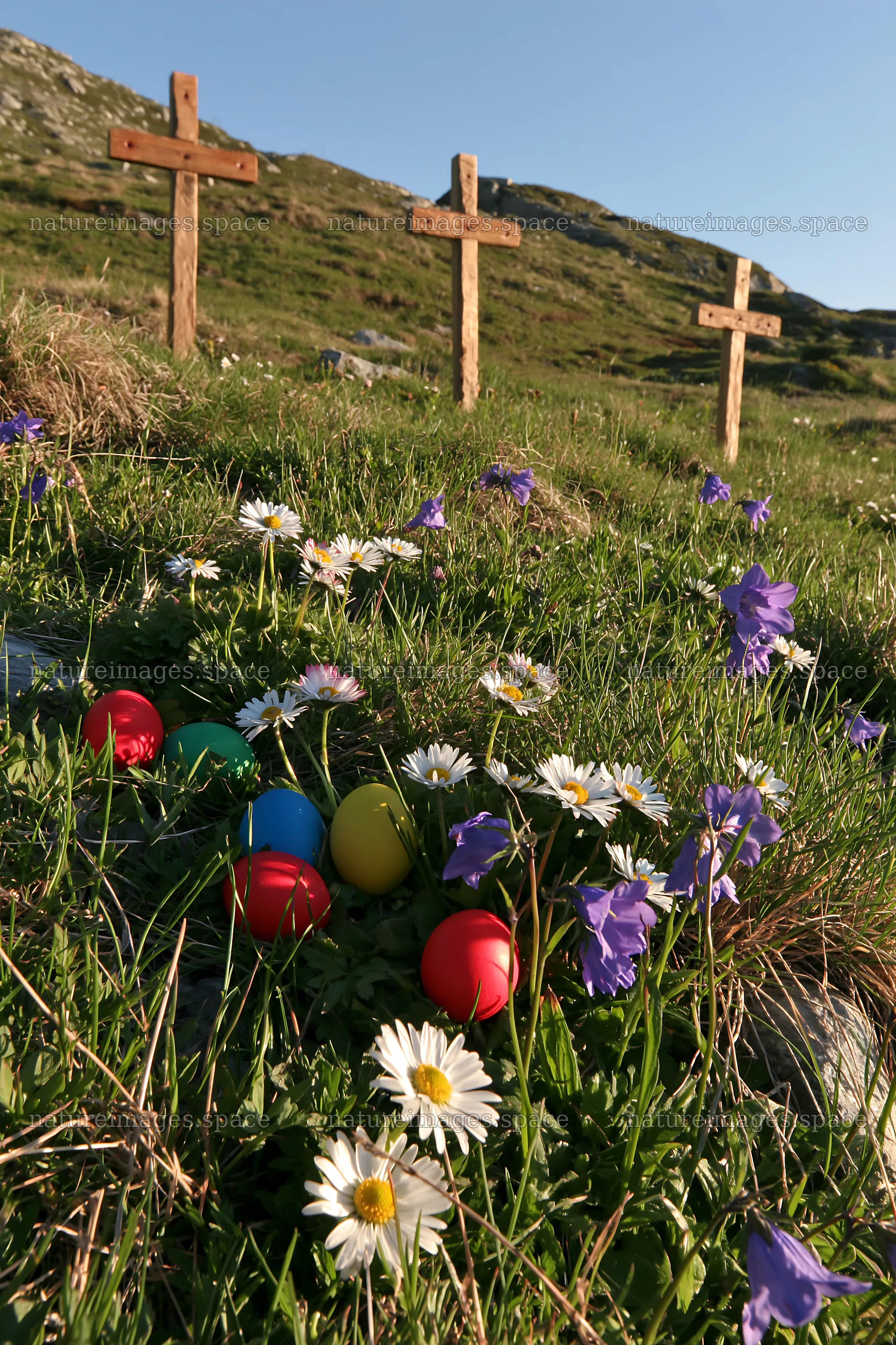 Three Christian crosses in a meadow with flowers – nature images 6480x9722