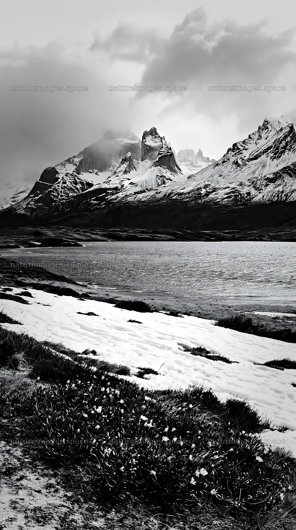Snow-covered meadow in Torres del Paine National Park – nature images 5938x10608