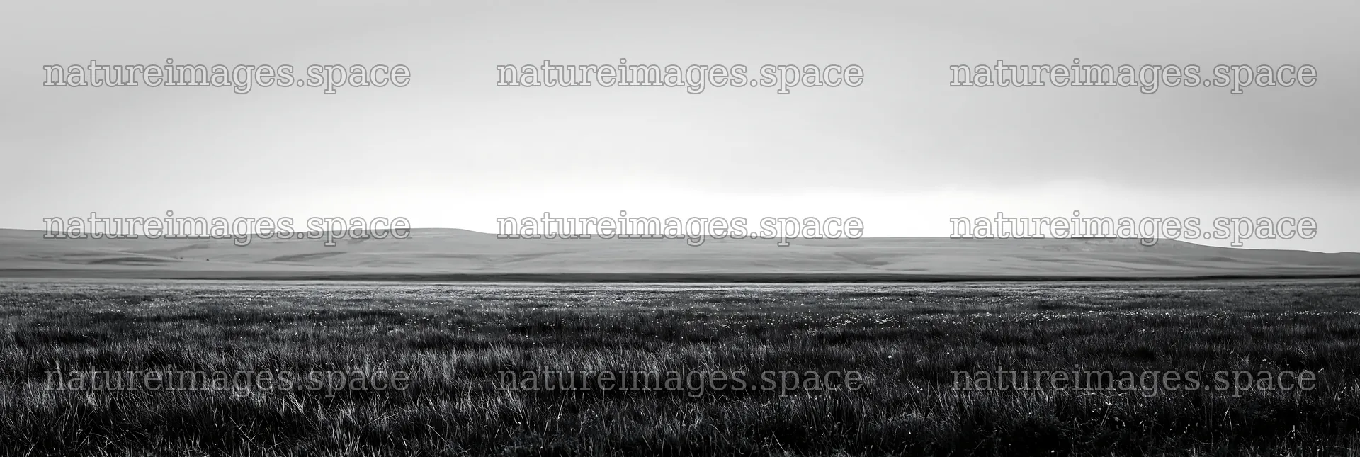 Limestone meadow under cloudy sky – nature images 13690x4602