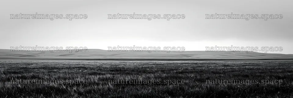 Limestone meadow under cloudy sky – nature images 13690x4602