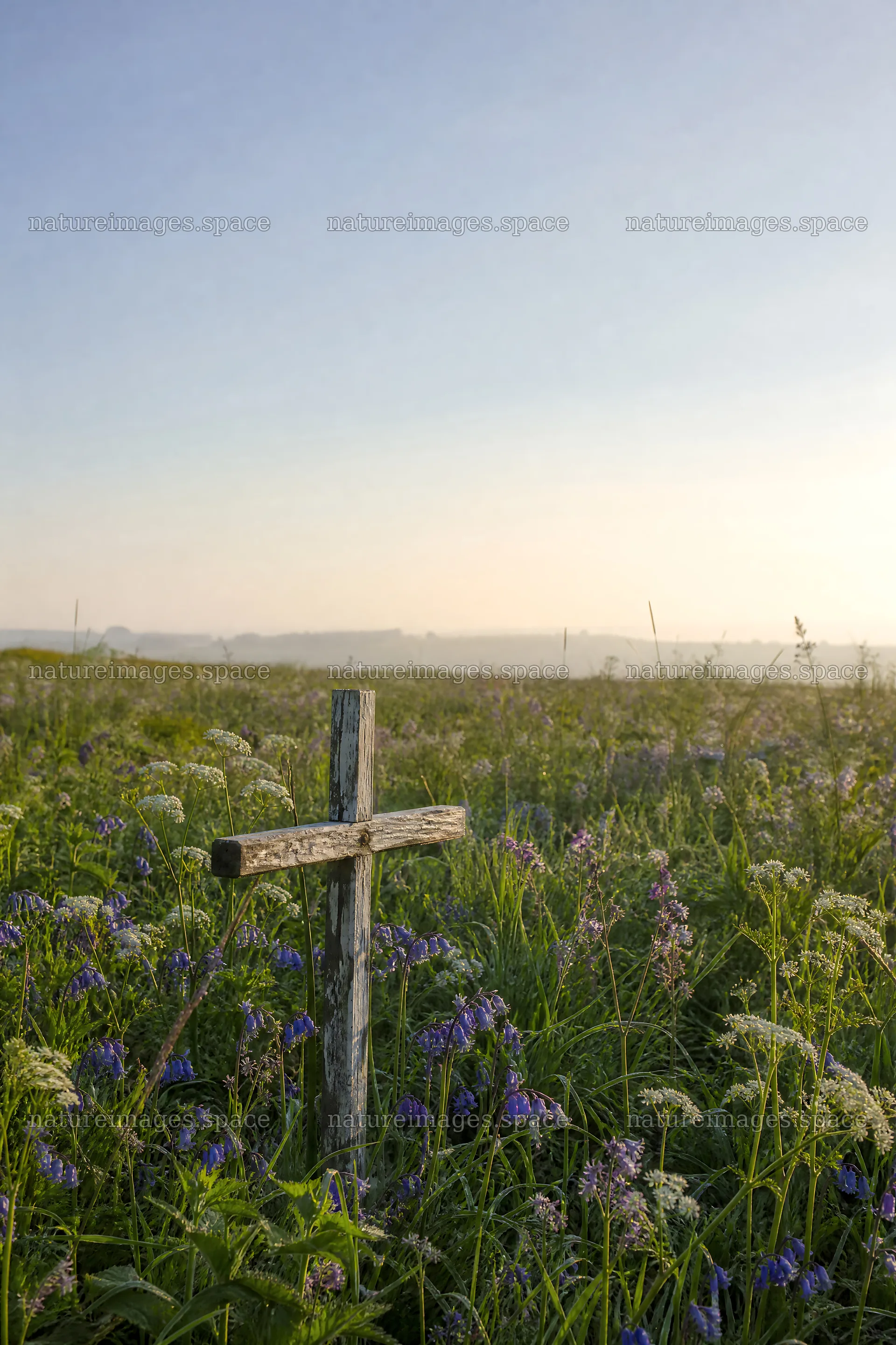 Rustic Christian cross in a spring meadow at golden hour – nature images 6480x9722