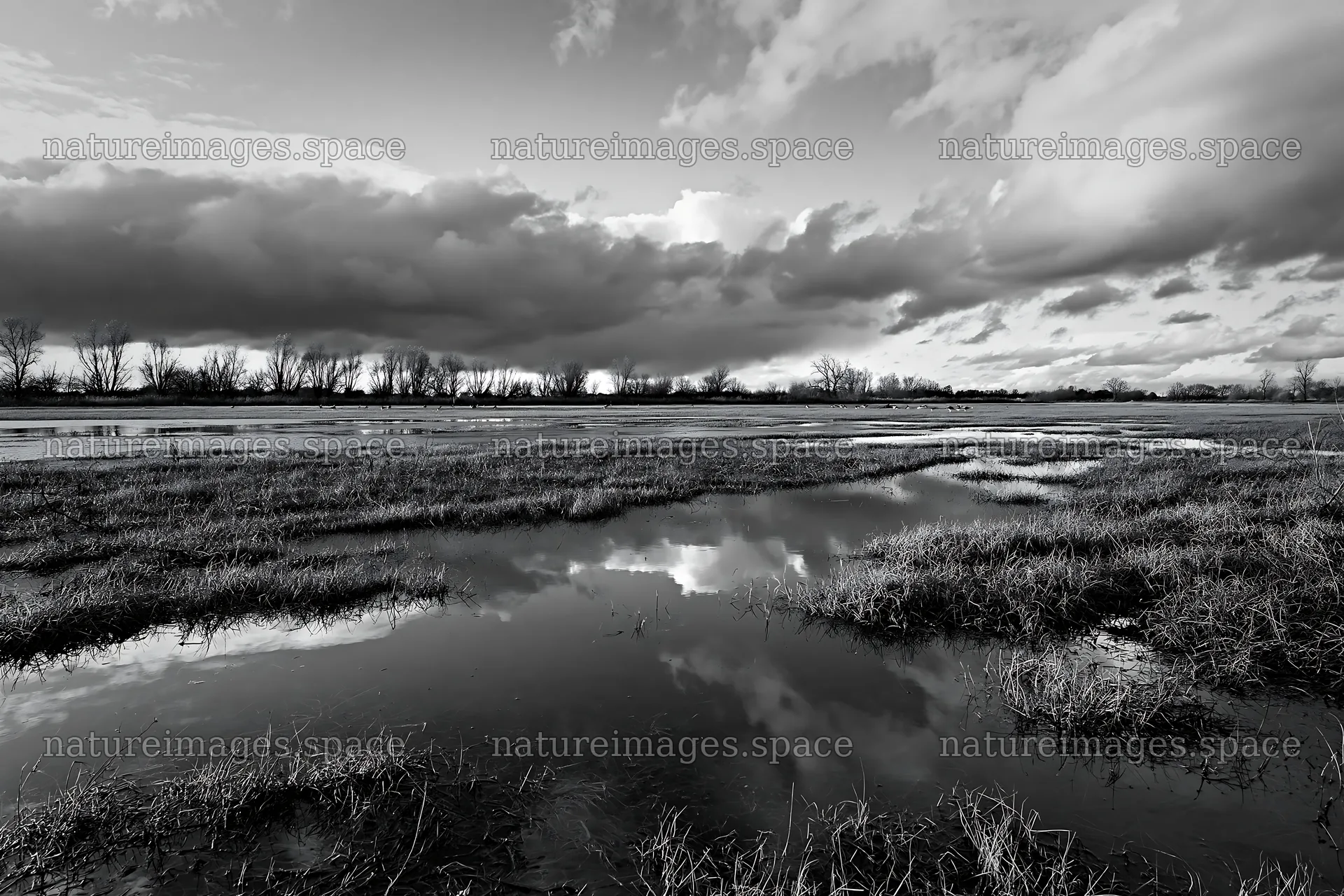 Autumn meadow with water reflections under cloudy sky – nature images 9722x6480