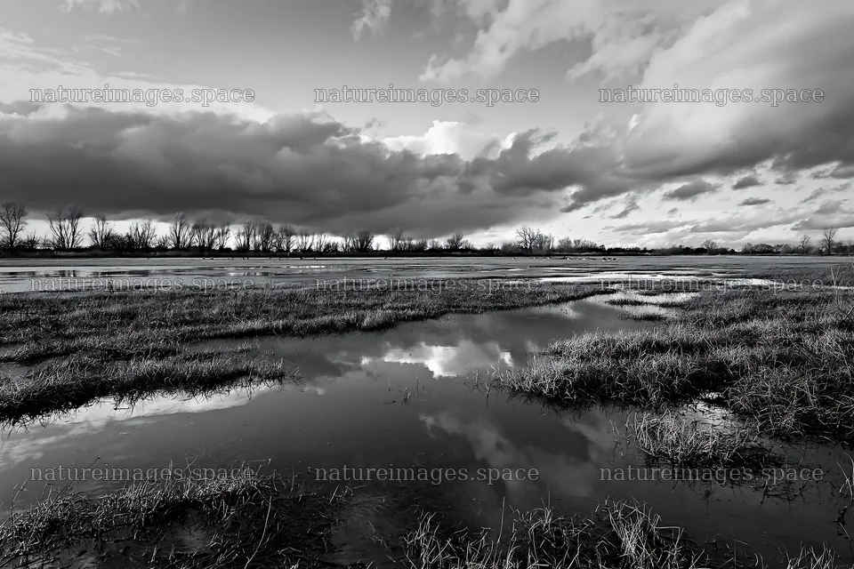 Autumn meadow with water reflections under cloudy sky – nature images 9722x6480