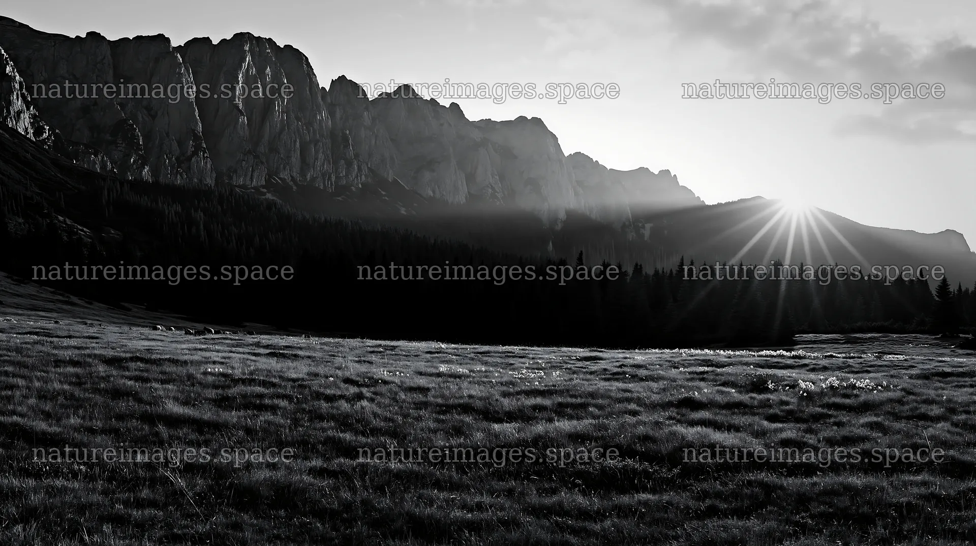 Bucegi Mountains meadow light rays at sunrise – nature images 10608x5938