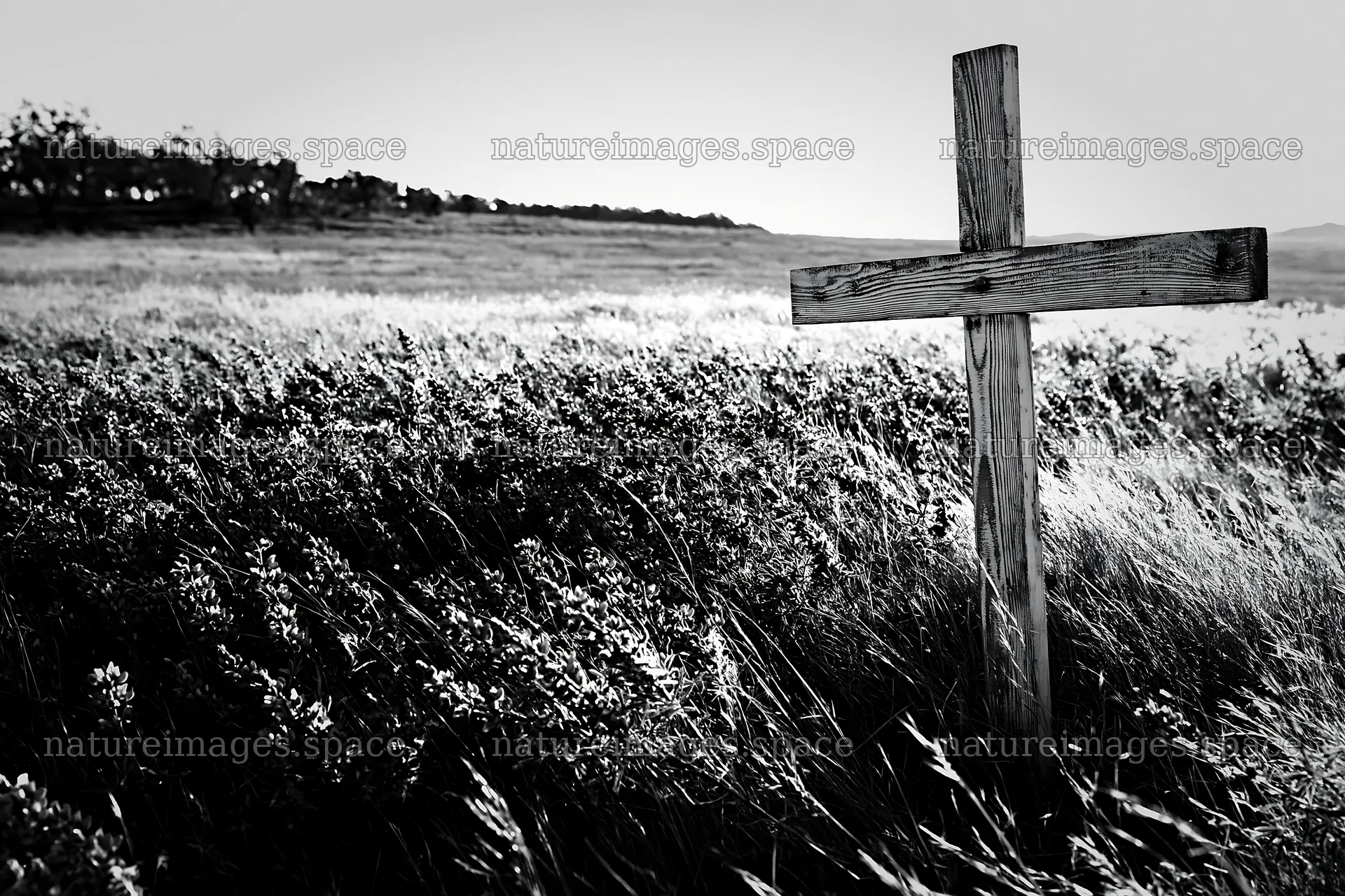White Christian cross in a remote meadow landscape – nature images 9722x6480
