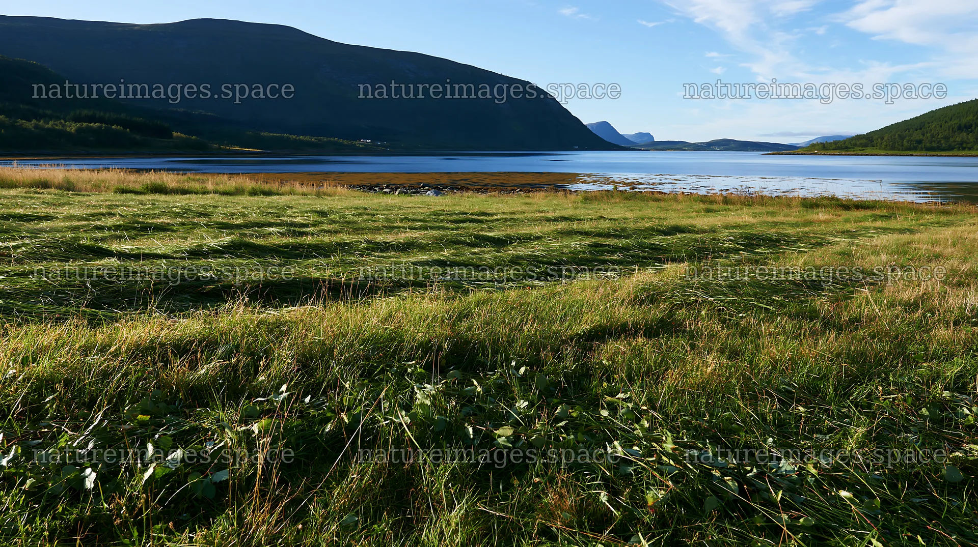 Fjord meadow with grass and distant mountains under clear sky – nature images 10608x5938