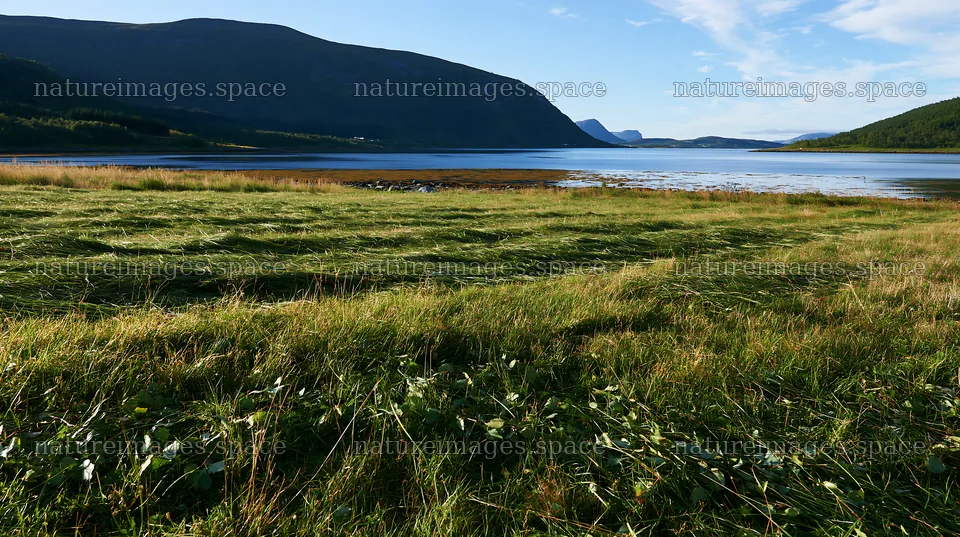 Fjord meadow with grass and distant mountains under clear sky – nature images 10608x5938