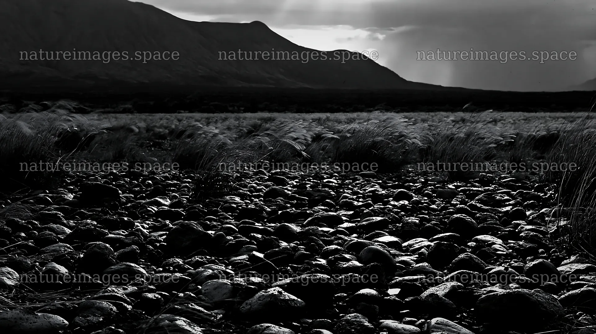 Kagoshima volcanic meadow with pumice foreground under cloudy sky – nature images 10608x5938