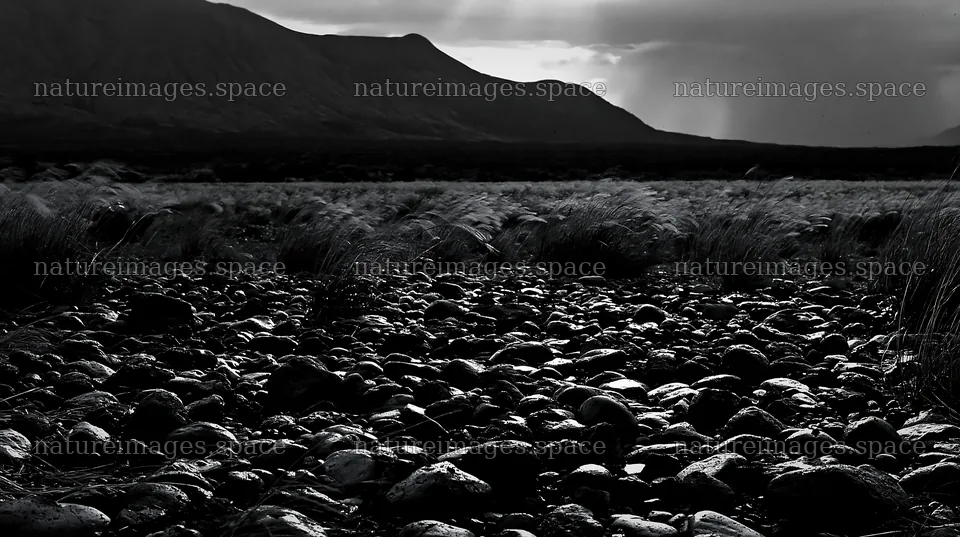 Kagoshima volcanic meadow with pumice foreground under cloudy sky – nature images 10608x5938