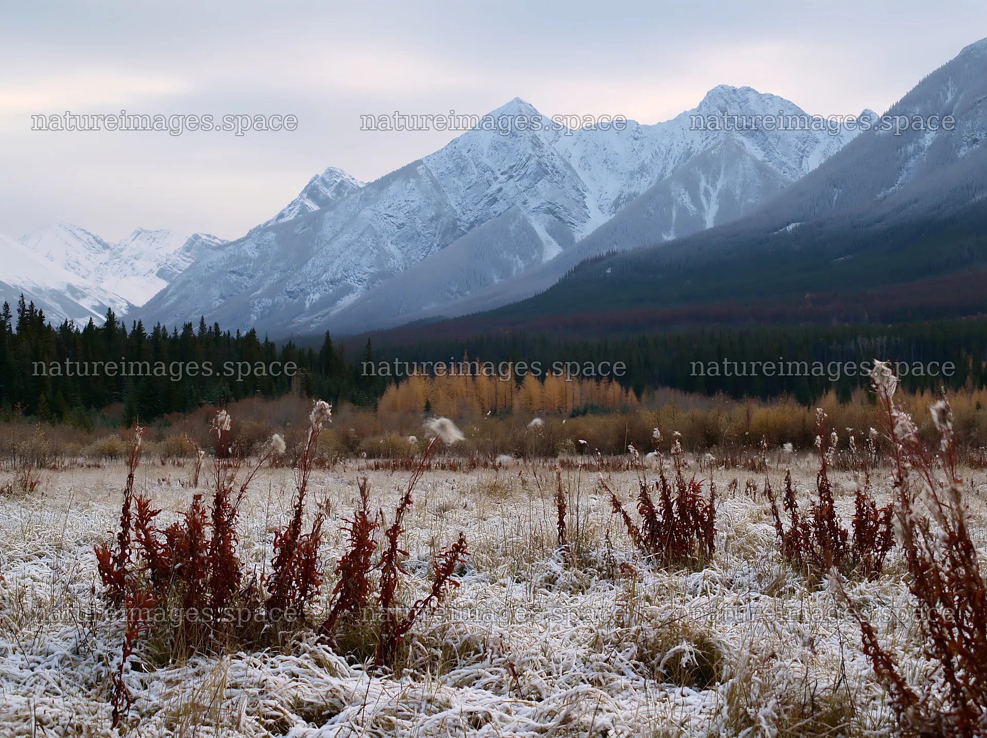 Banff meadow with mountains covered in snow – nature images 9174x6866