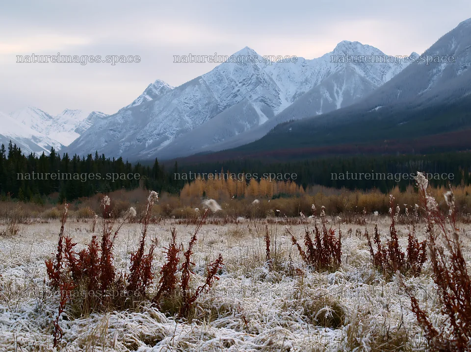 Banff meadow with mountains covered in snow – nature images 9174x6866