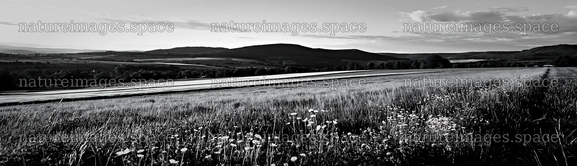 German foothill meadow with black and white landscape – nature images 14762x4268