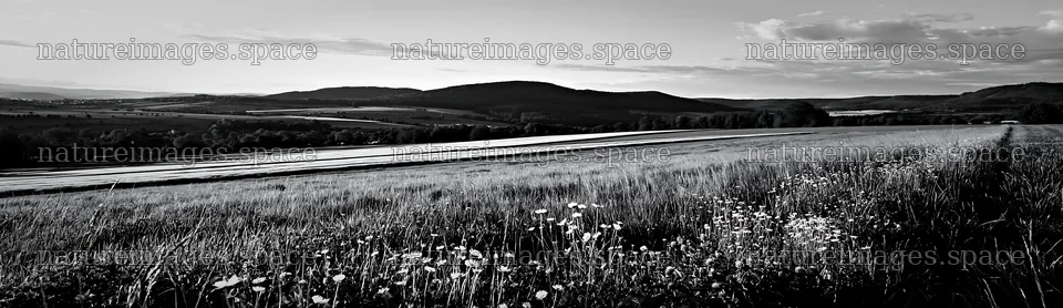 German foothill meadow with black and white landscape – nature images 14762x4268