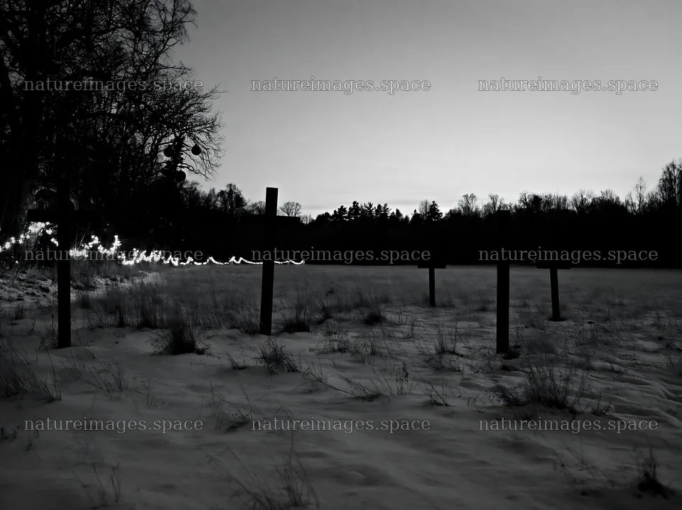 Multiple Christian crosses in a snowy meadow at dusk – nature images 9174x6866