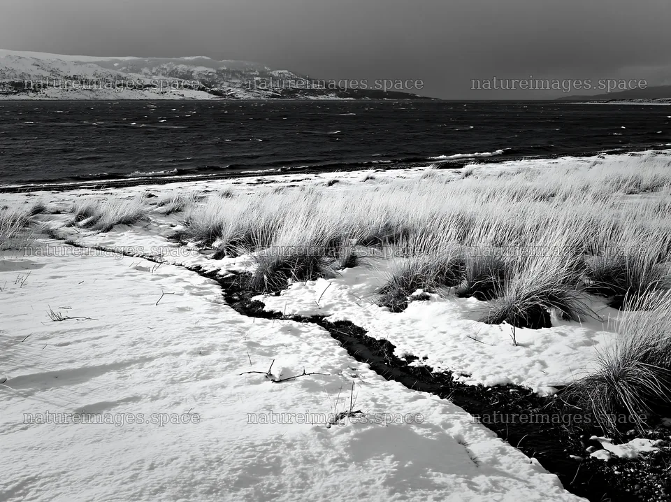 Snowy beach meadow with river and distant hills – nature images 9174x6866