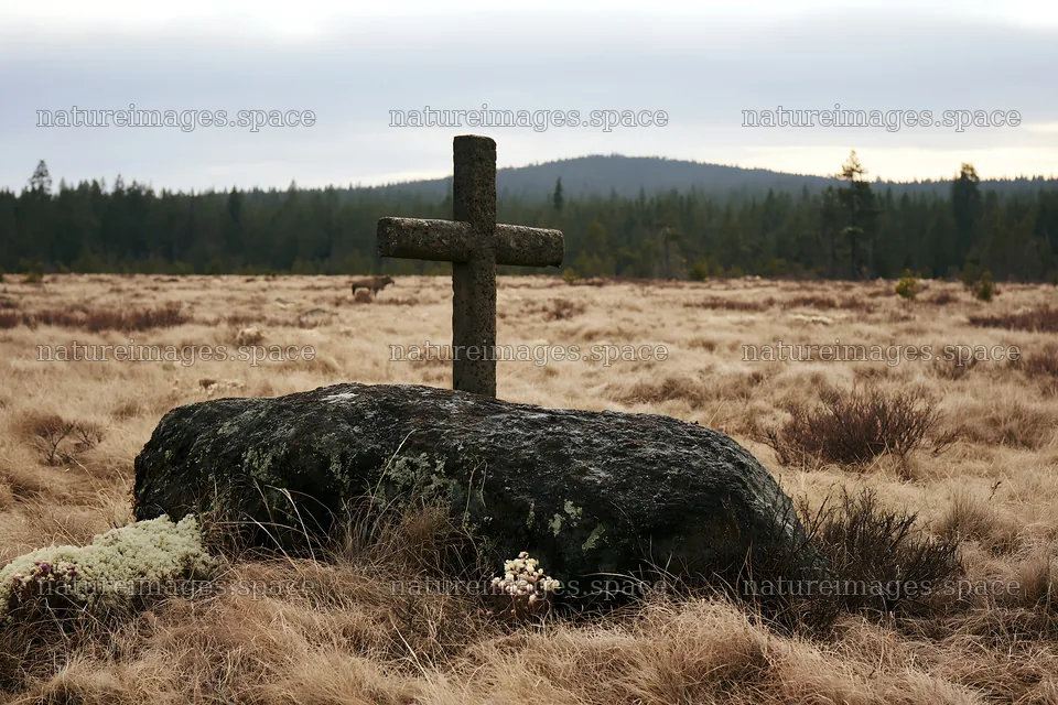 Christian cross in winter meadow surrounded by grass – nature images 9722x6480