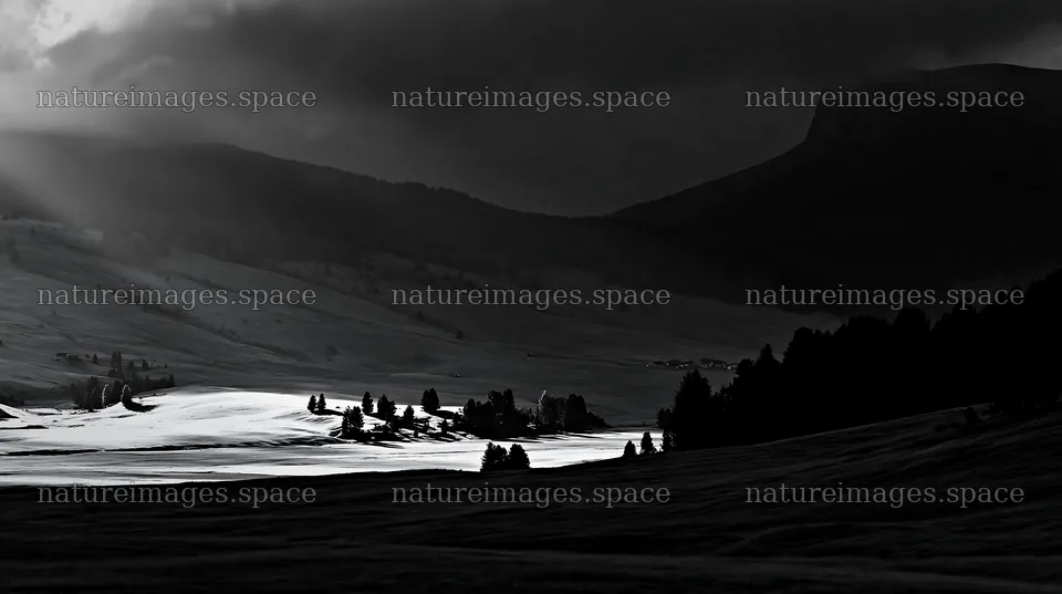 Sunbeams on Alpe di Siusi meadow during dark clouds – nature images 10608x5938