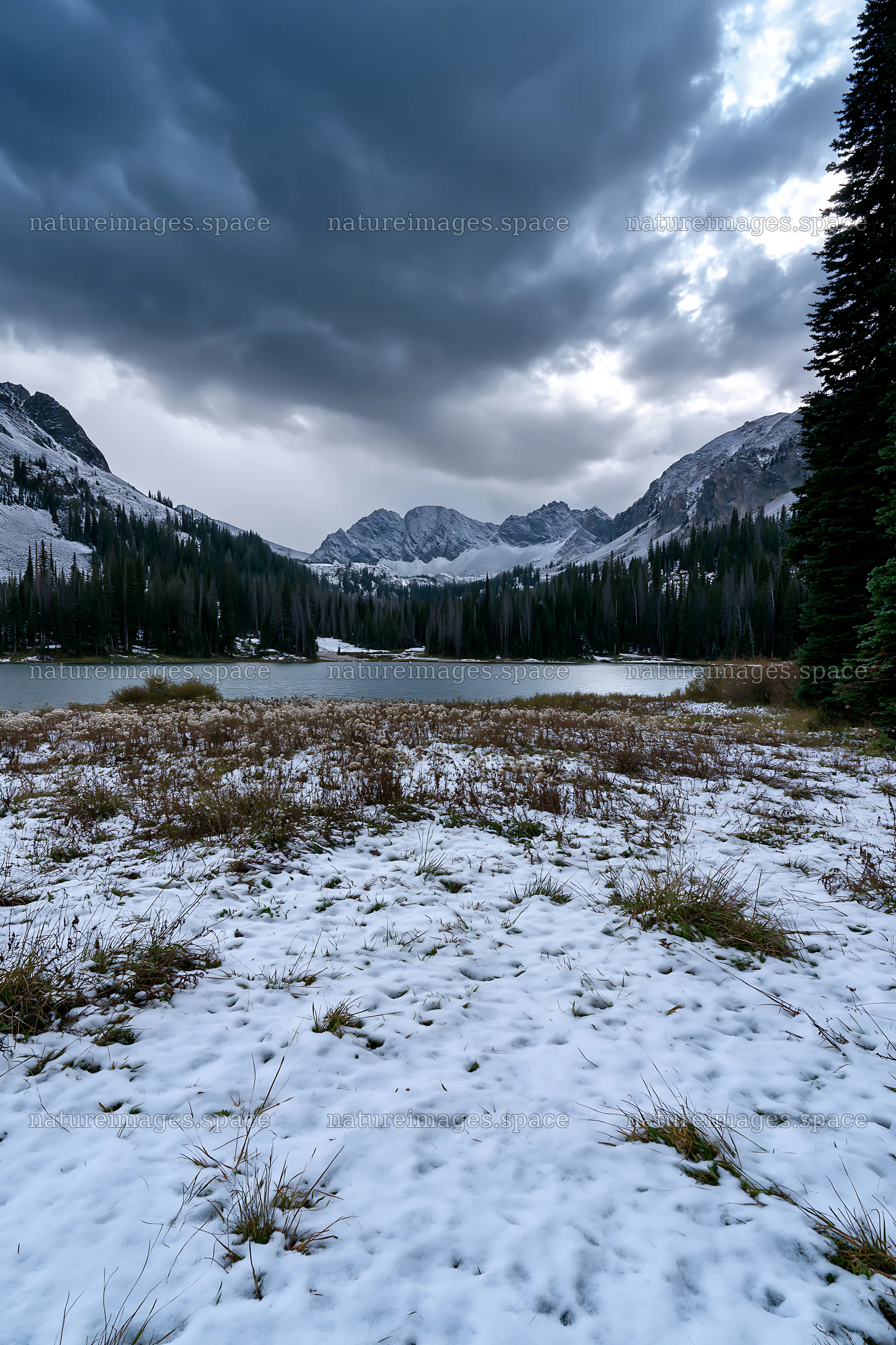 Snowy lakeside meadow with mountains and cloudy sky – nature images 6480x9722
