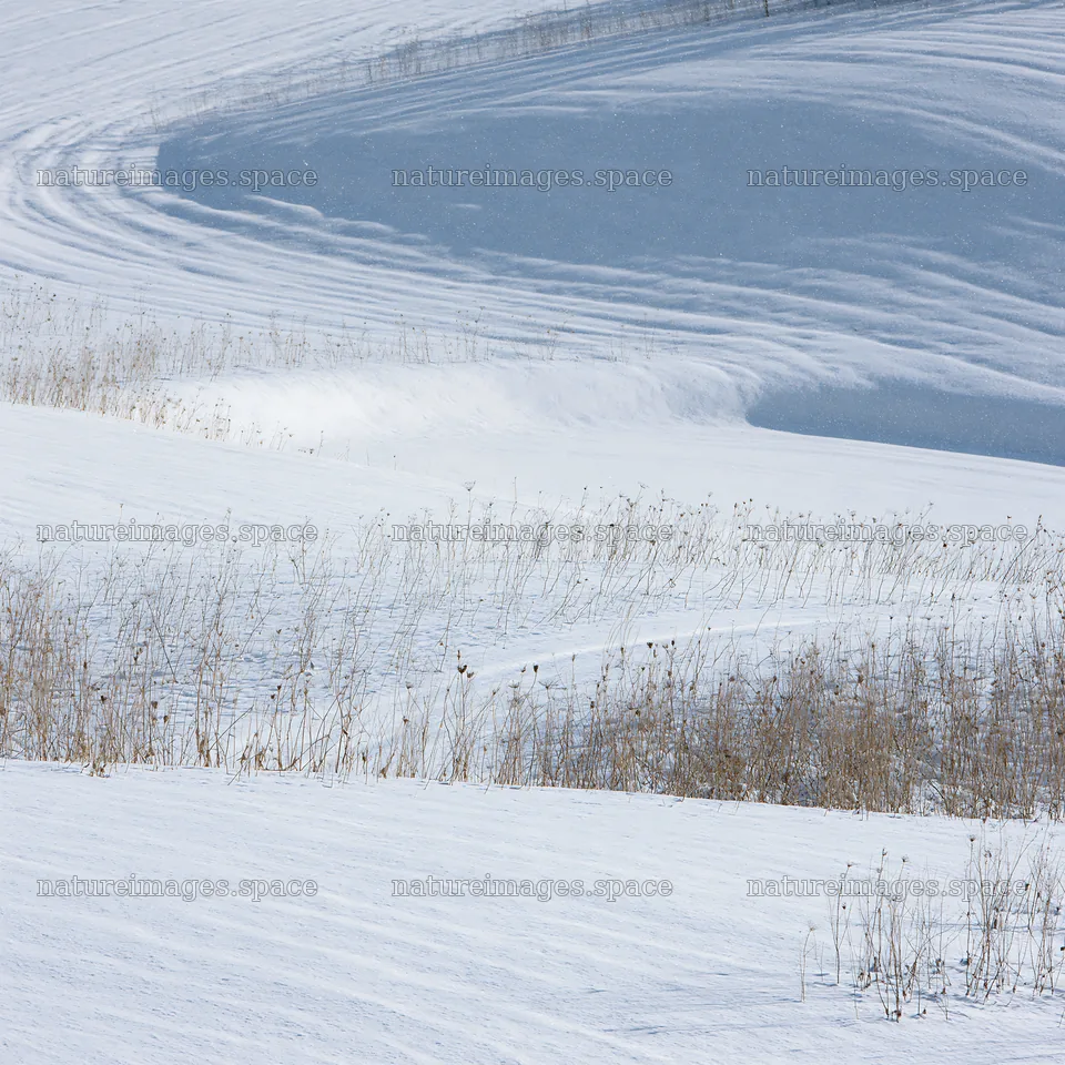 Snow covered Biei hills meadow landscape – nature images 7938x7938