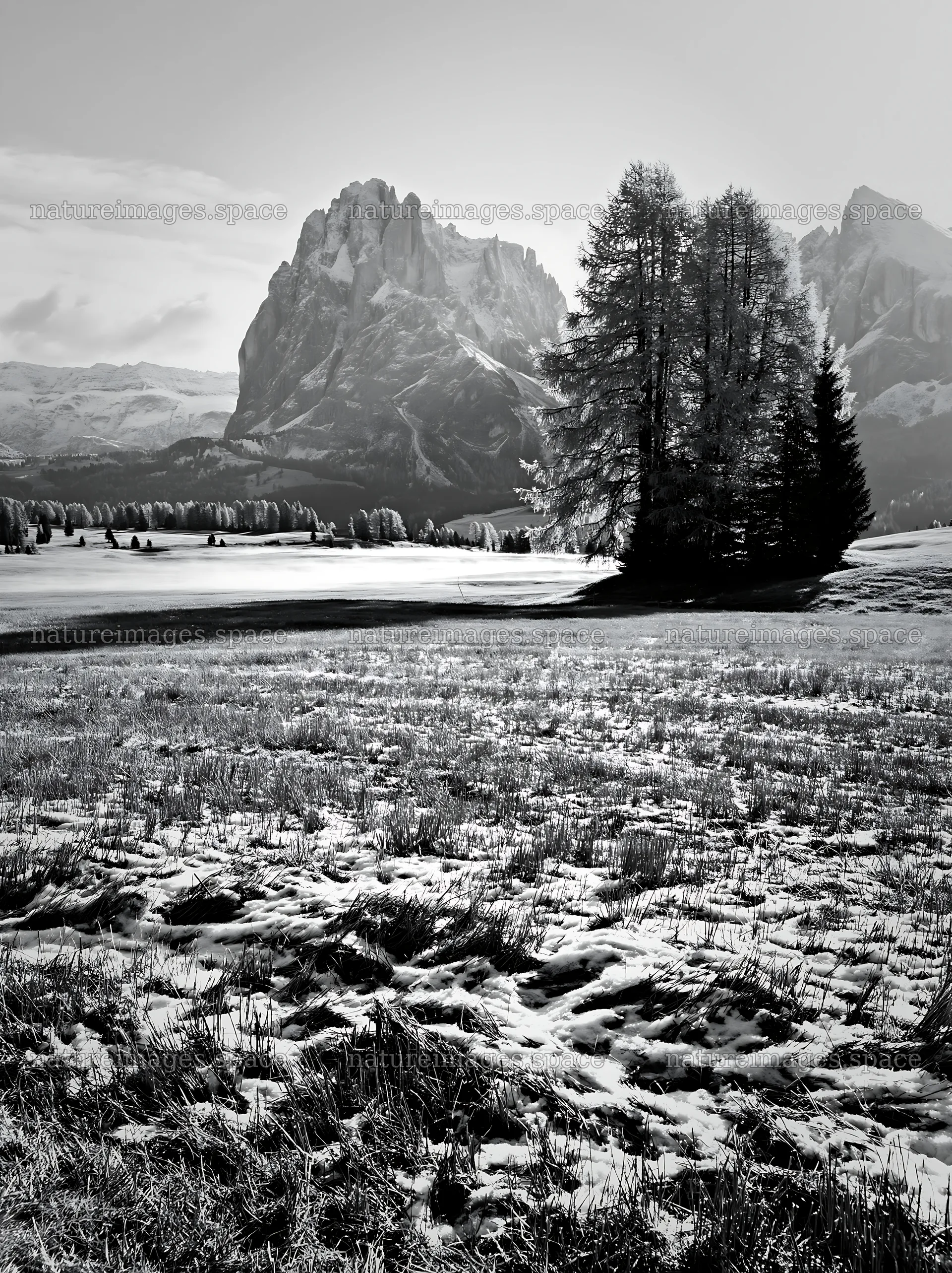 Alpe di Siusi meadow sunbeams create a scenic landscape – nature images 6866x9174