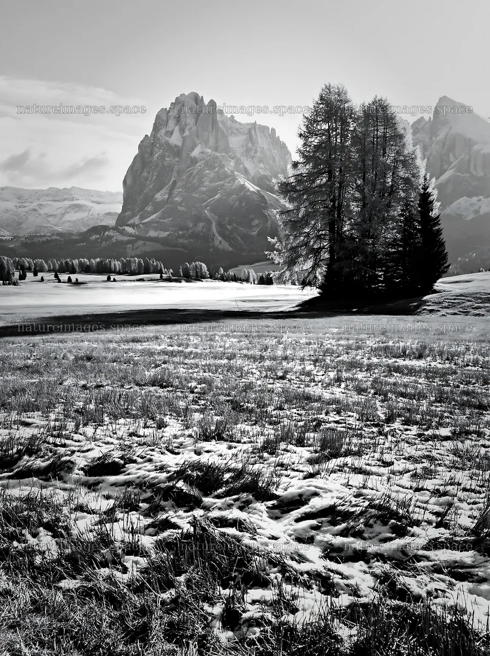 Alpe di Siusi meadow sunbeams create a scenic landscape – nature images 6866x9174