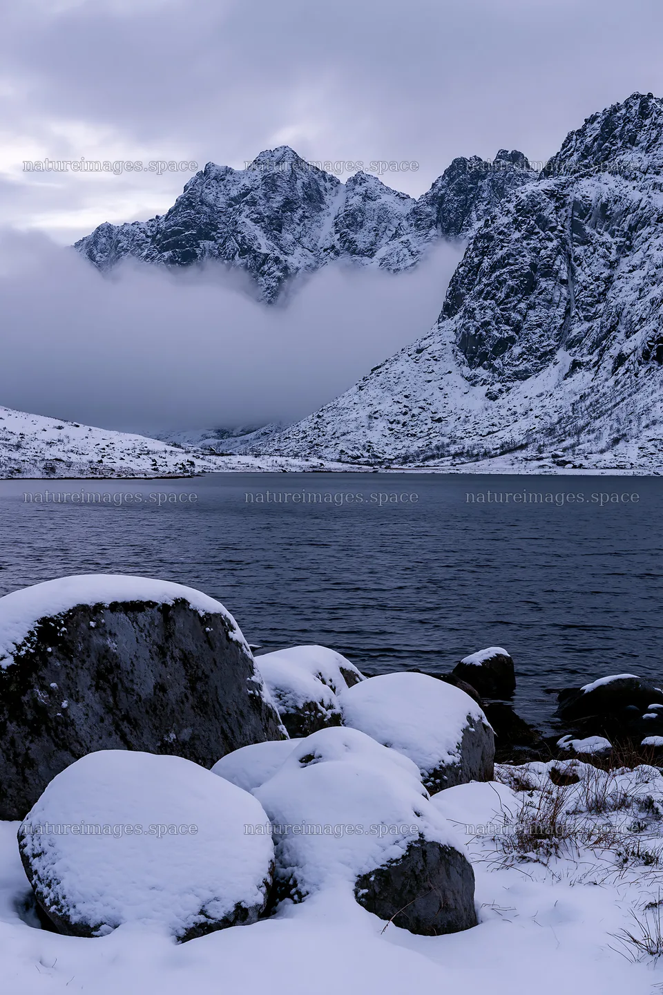 Lofoten coastal meadow winter snow covers rocks and water – nature images 6480x9722