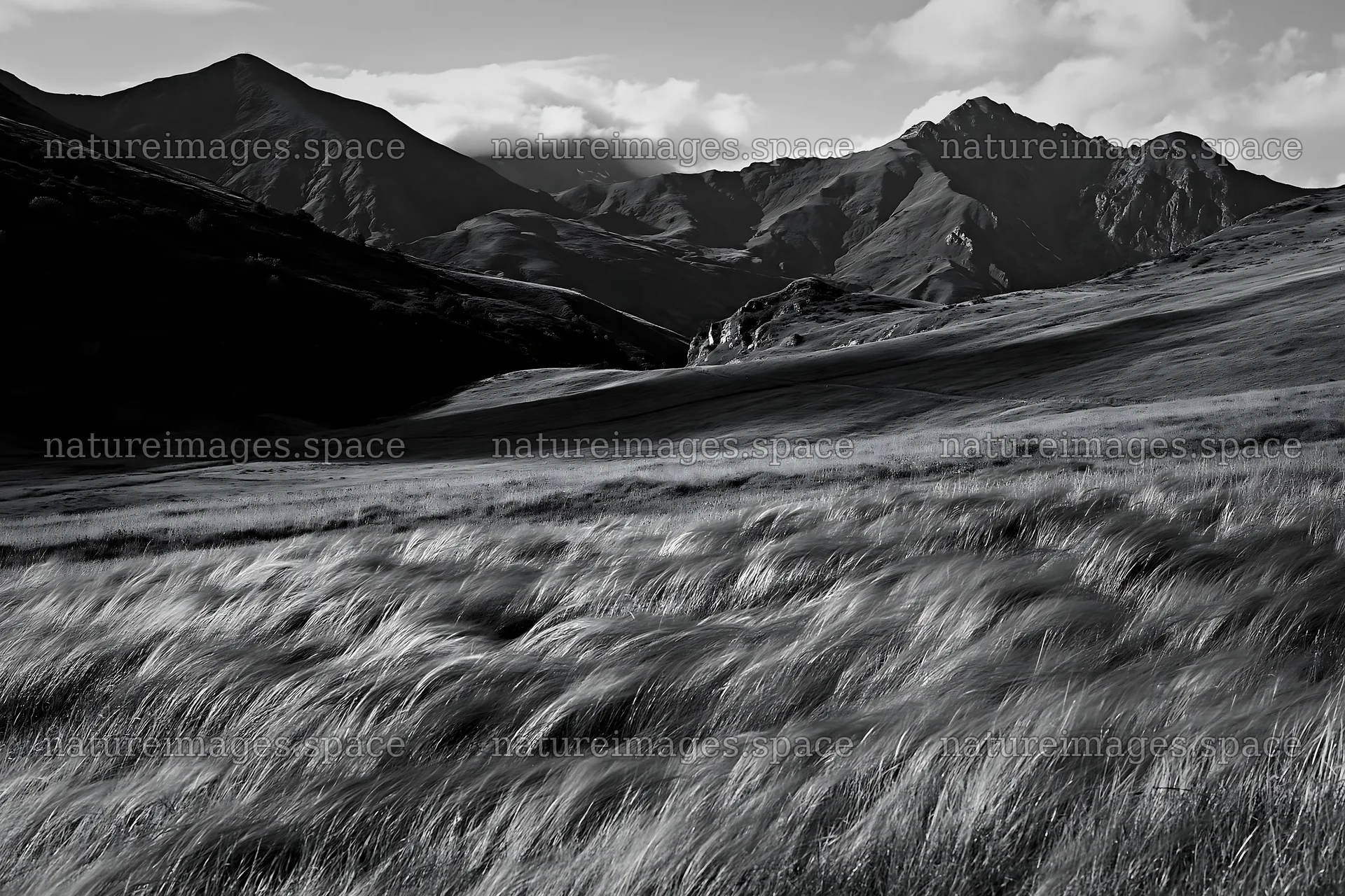 Rolling valley meadows with mountains in the background – nature images 9722x6480