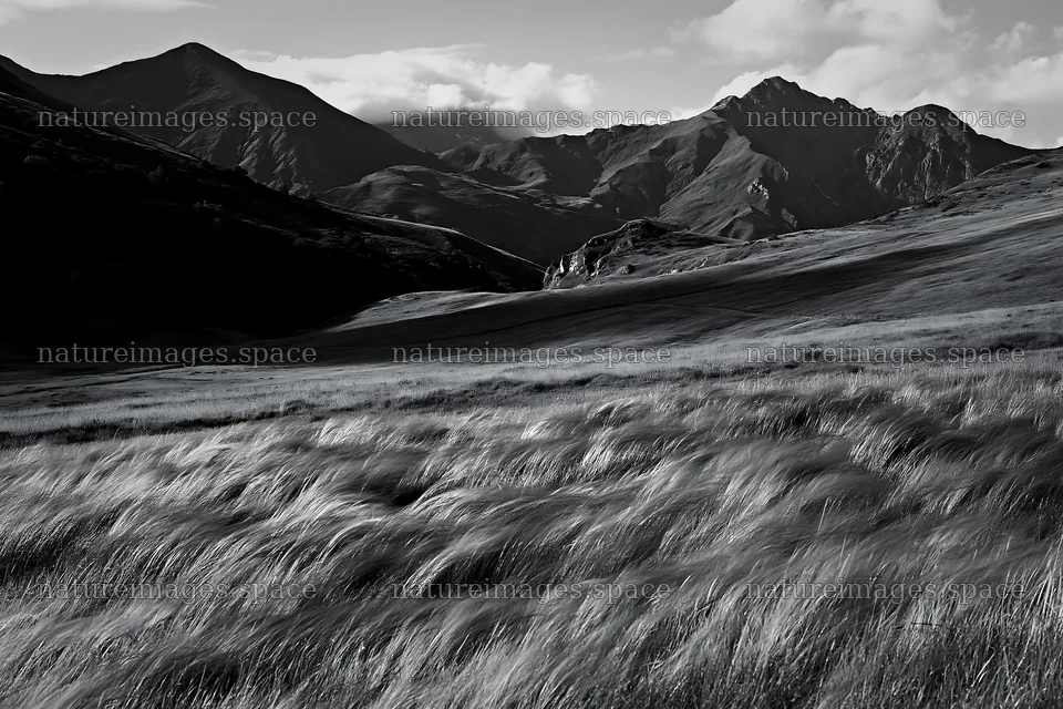 Rolling valley meadows with mountains in the background – nature images 9722x6480