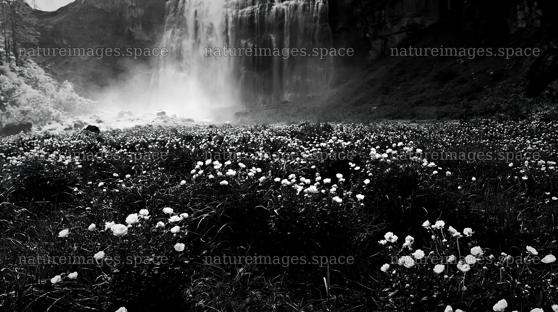 Misty waterfall and flower meadow landscape – nature images 10608x5938