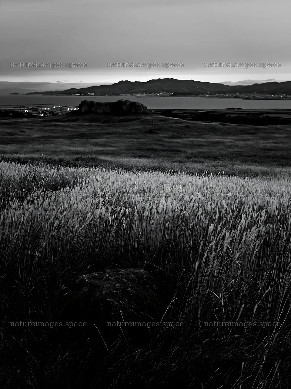 Aomori climate resilient meadow with boulder in evening light – nature images 6866x9174