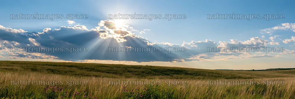 Crepuscular rays over a meadow during sunset – nature images 13690x4602