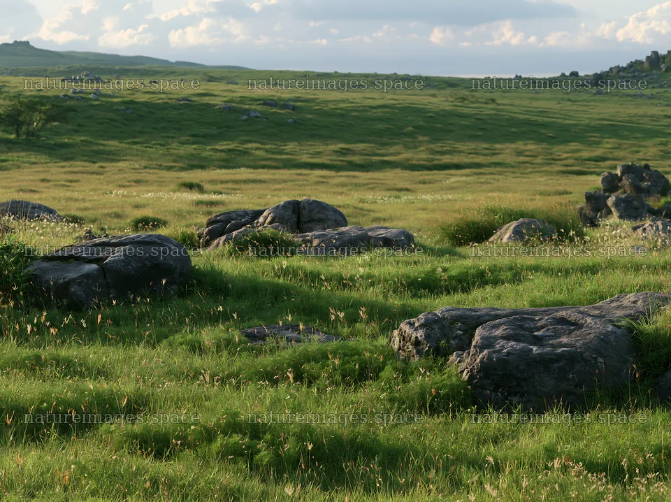 Oita highland meadow with granite stones during daylight – nature images 9174x6866