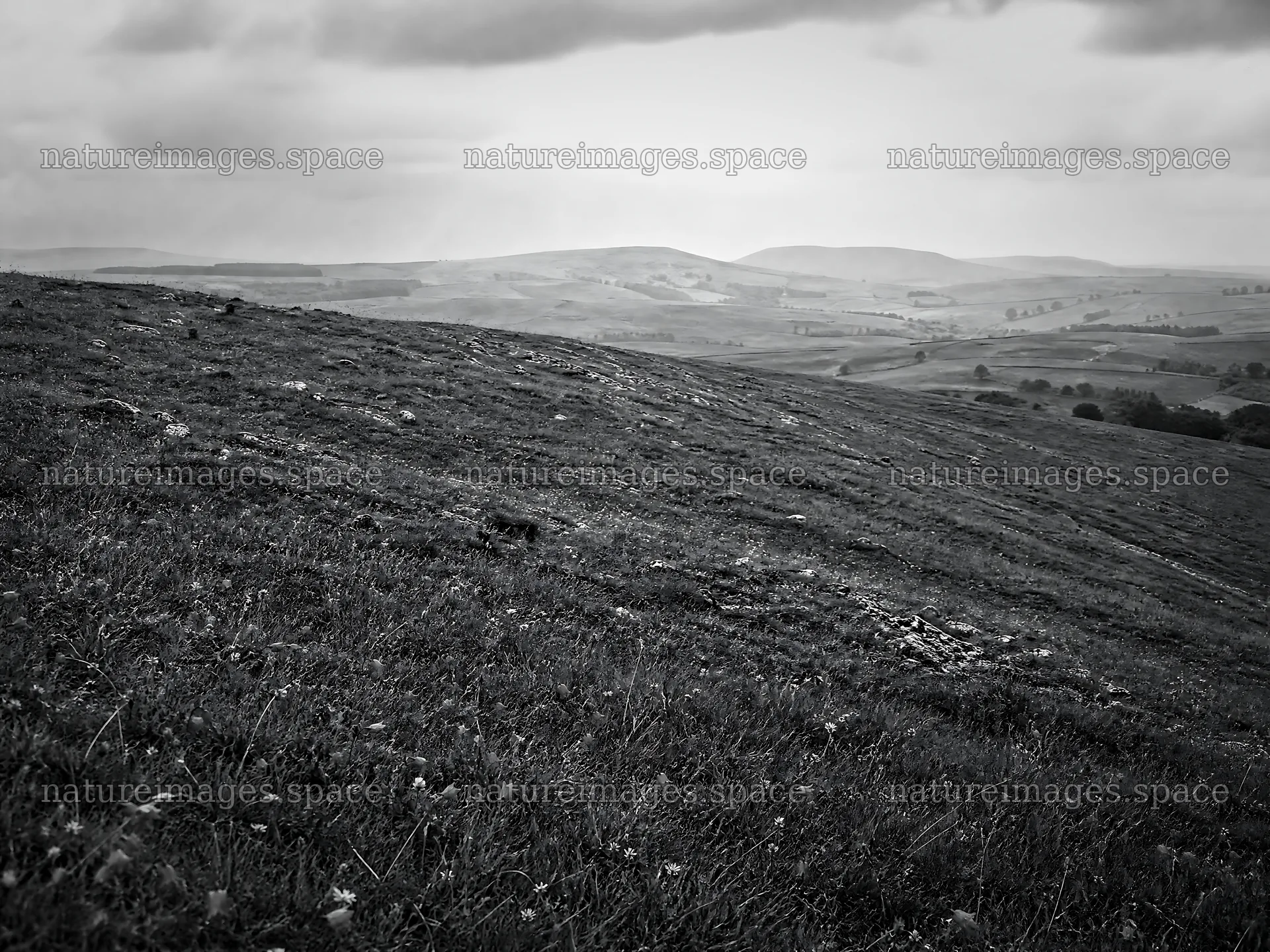 Sunny limestone meadow with open space and rolling hills – nature images 9166x6874