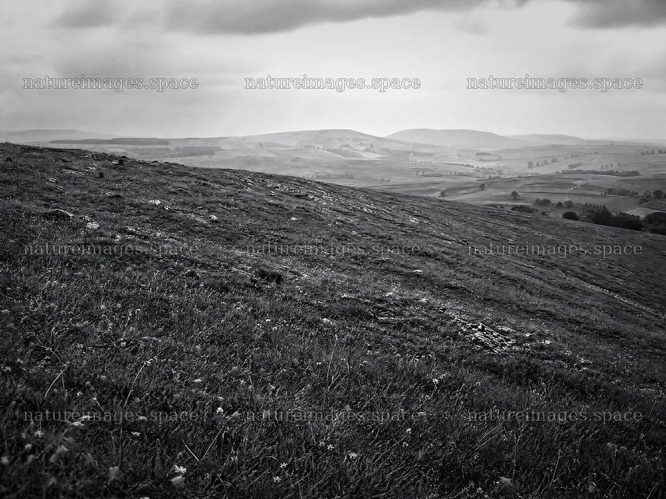 Sunny limestone meadow with open space and rolling hills – nature images 9166x6874