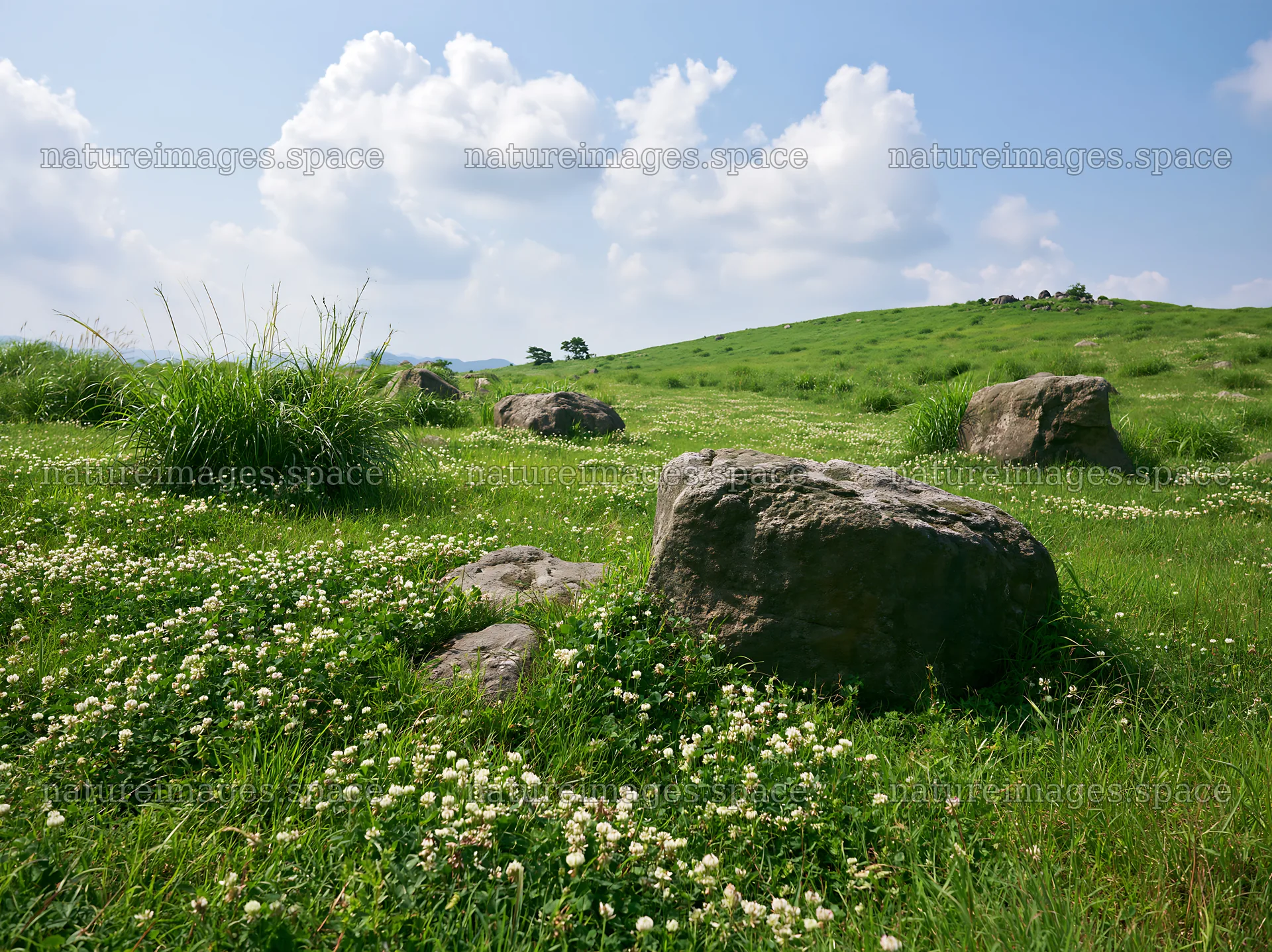 Oita highland meadow with granite stones and green grass – nature images 9174x6866