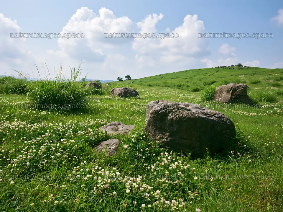 Oita highland meadow with granite stones and green grass – nature images 9174x6866
