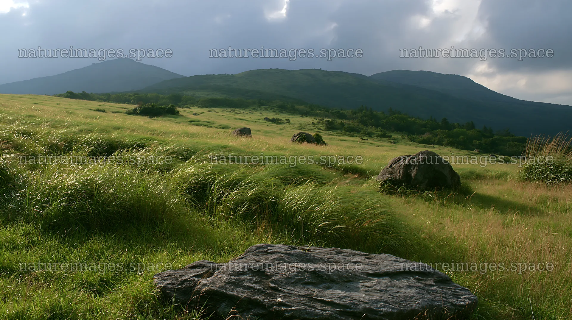 Oita highland meadow with granite stones and distant mountains – nature images 10608x5938