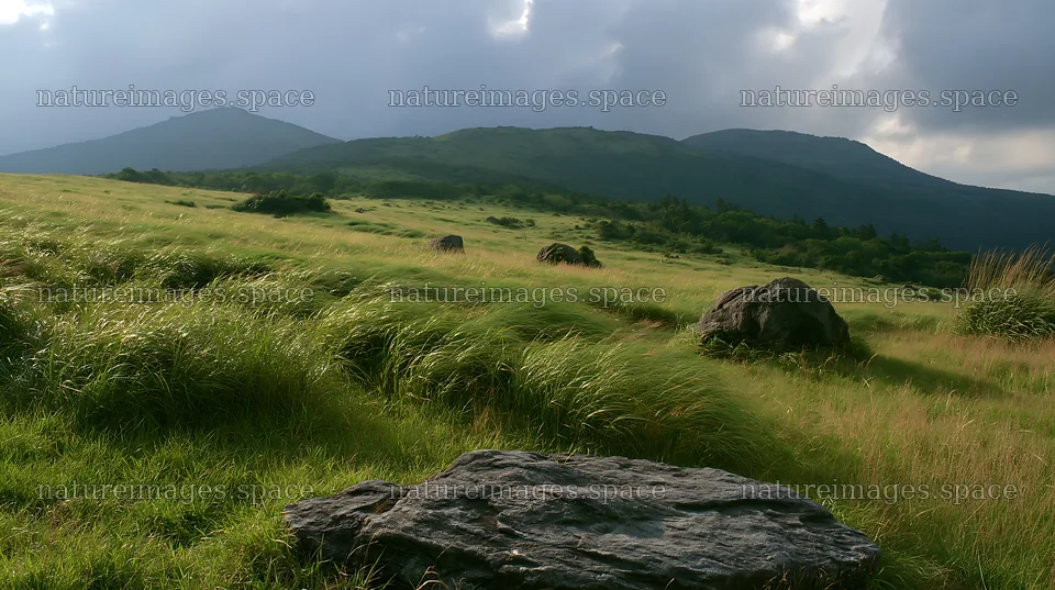 Oita highland meadow with granite stones and distant mountains – nature images 10608x5938