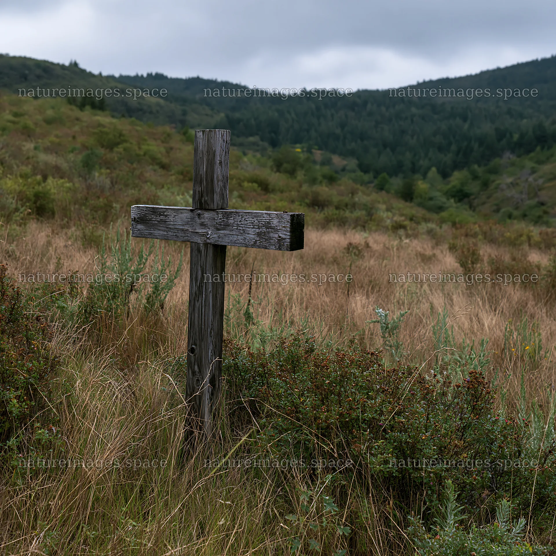 Wooden Christian cross in mountain meadow – nature images 7938x7938