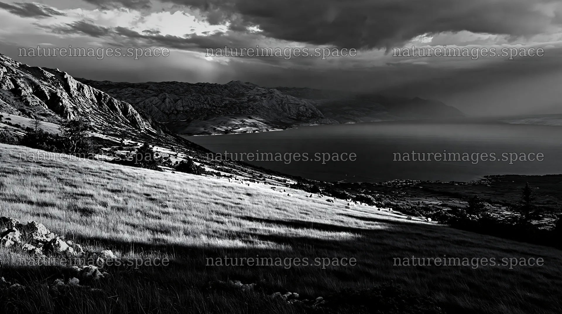 Croatian meadow overlooking the Adriatic coast at dusk – nature images 10608x5938