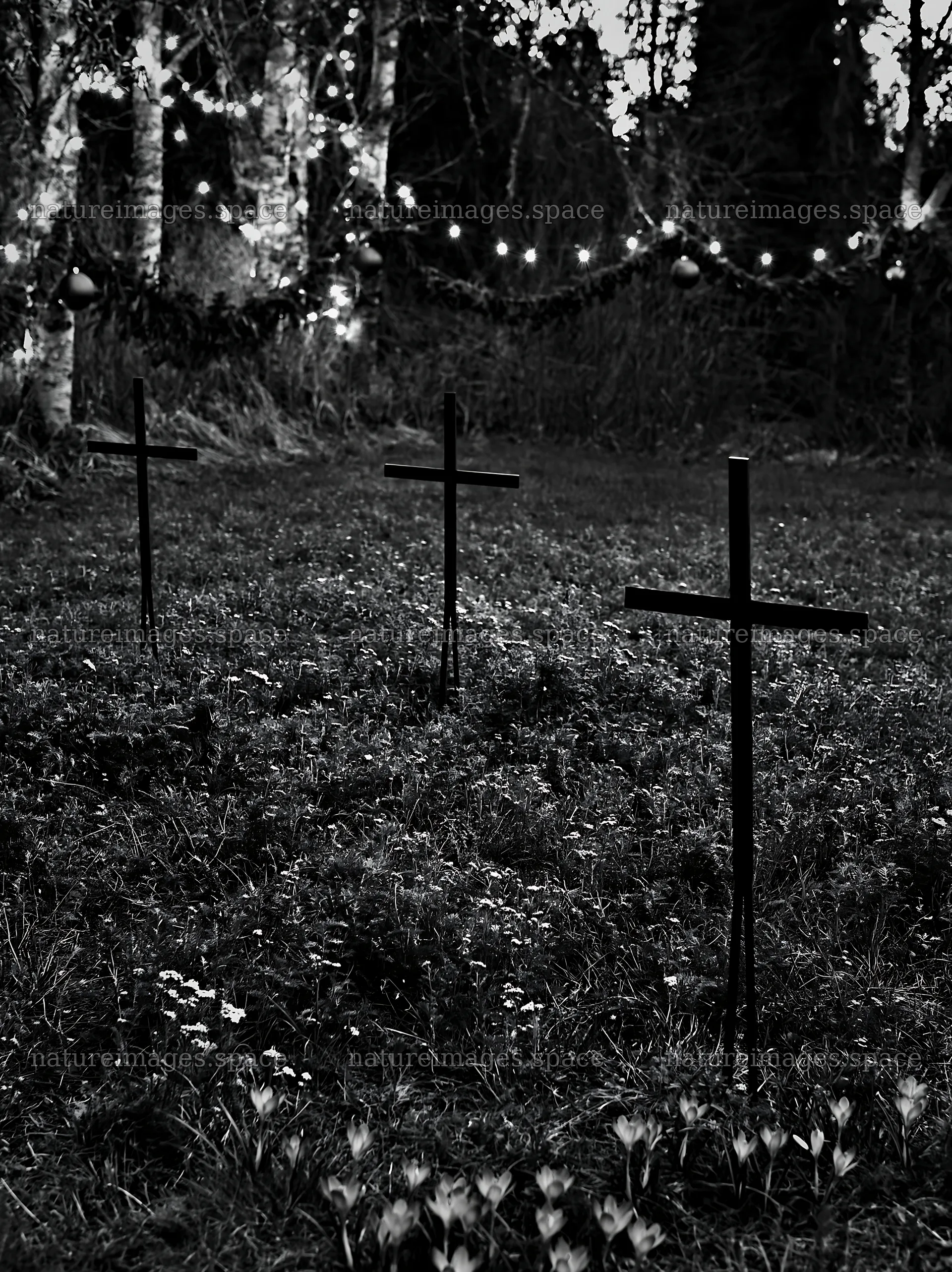 Three iron crosses in Advent meadow at dusk – nature images 6866x9174