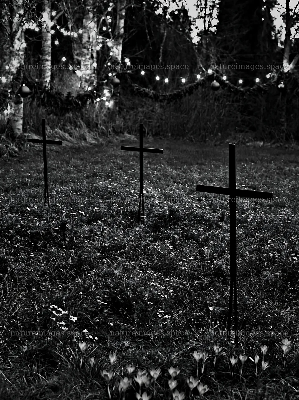 Three iron crosses in Advent meadow at dusk – nature images 6866x9174