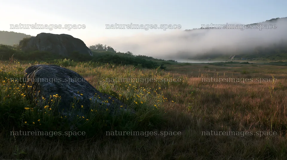 Nagano drought resilient meadow granite boulder in morning mist – nature images 10608x5938