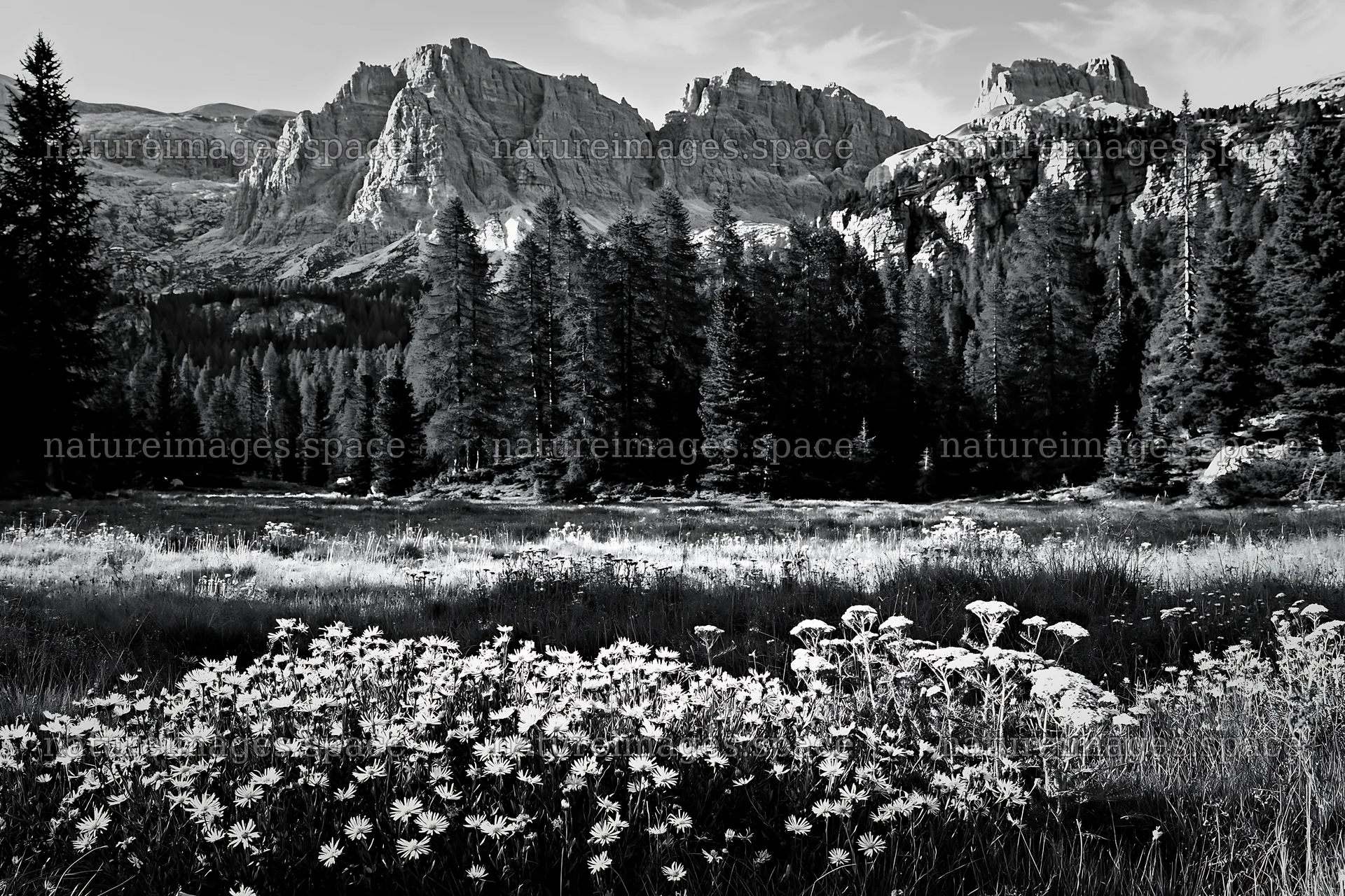 Crepuscular rays meadow with flowers and mountains in background – nature images 9722x6480