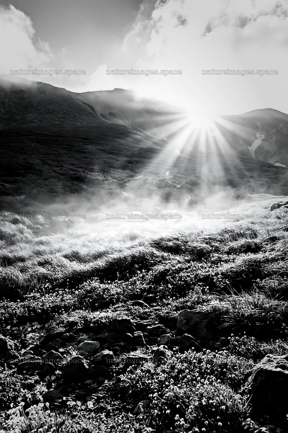 Daisetsuzan alpine meadow with light rays shining through clouds – nature images 6480x9722